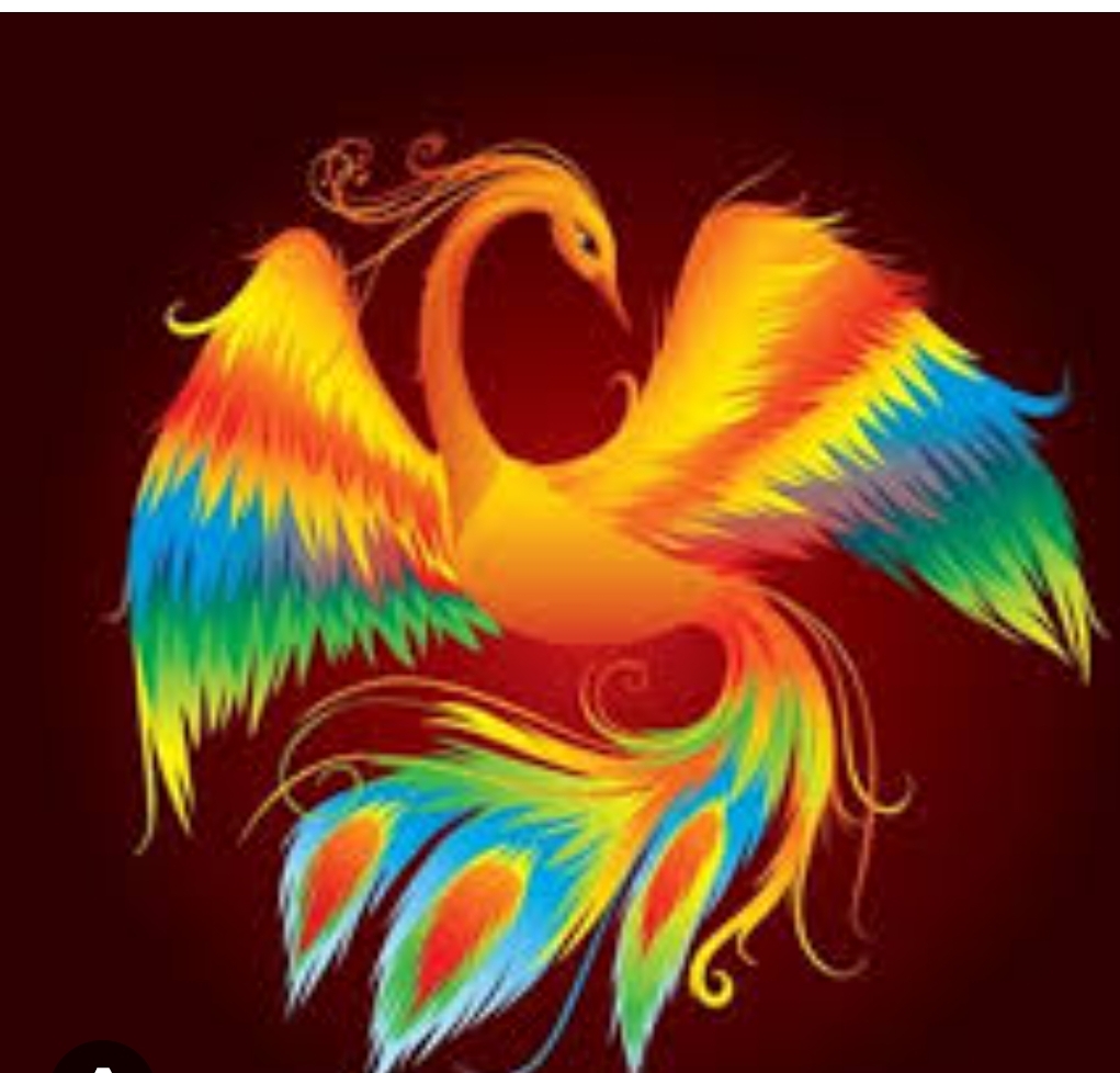 COME L’ARABA FENICE